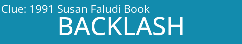 1991 Susan Faludi Book