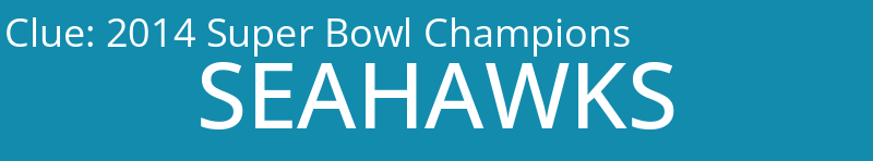 2014 Super Bowl Champions