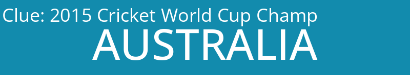 2015 Cricket World Cup Champ