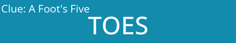 A Foot's Five
