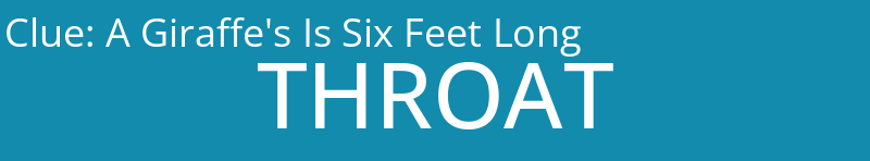 A Giraffe's Is Six Feet Long