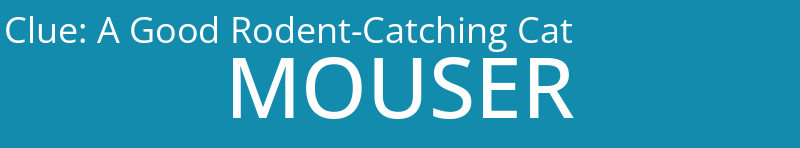 A Good Rodent-Catching Cat