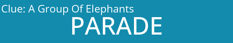 A Group Of Elephants