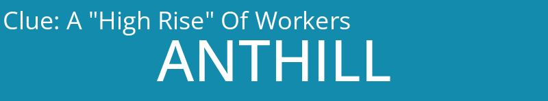 A "High Rise" Of Workers