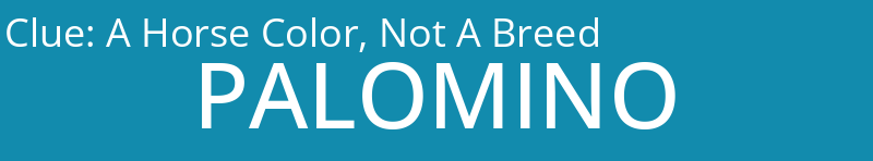 A Horse Color, Not A Breed