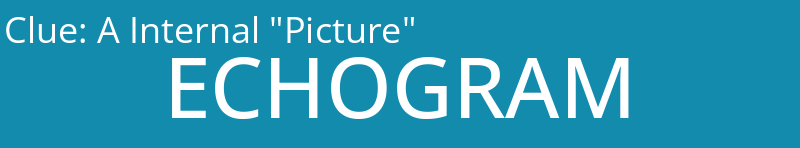A Internal "Picture"