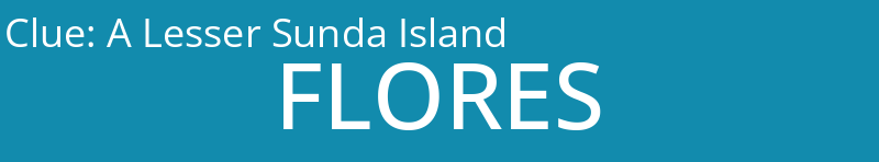 A Lesser Sunda Island