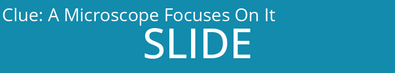 A Microscope Focuses On It