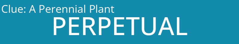 A Perennial Plant