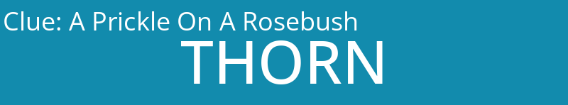 A Prickle On A Rosebush