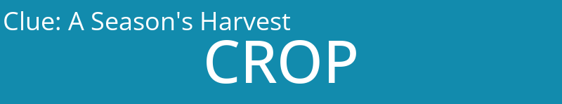 A Season's Harvest