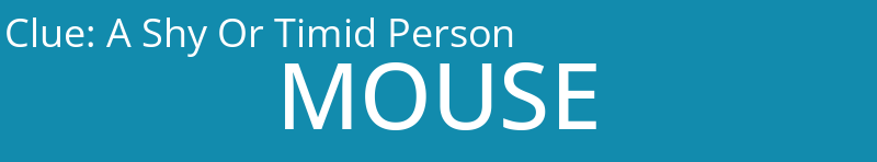 A Shy Or Timid Person