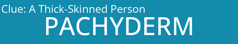 A Thick-Skinned Person