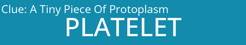 A Tiny Piece Of Protoplasm