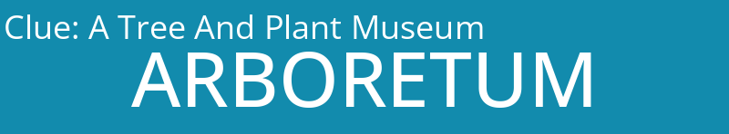 A Tree And Plant Museum