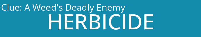 A Weed's Deadly Enemy