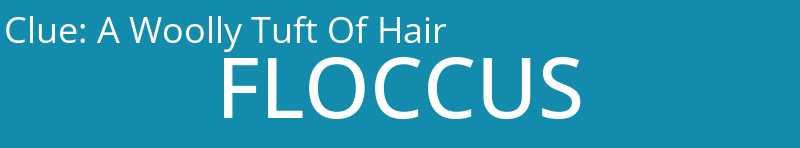A Woolly Tuft Of Hair