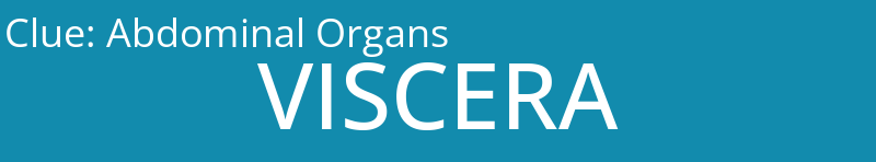 Abdominal Organs