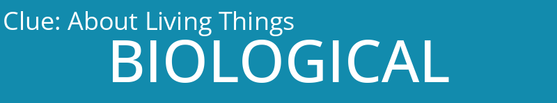 About Living Things