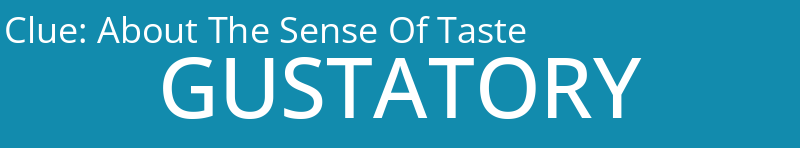 About The Sense Of Taste