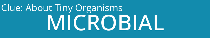 About Tiny Organisms