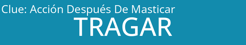Acción Después De Masticar