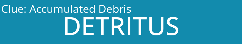 Accumulated Debris