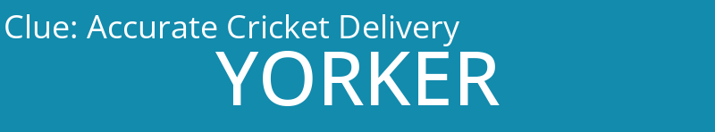 Accurate Cricket Delivery