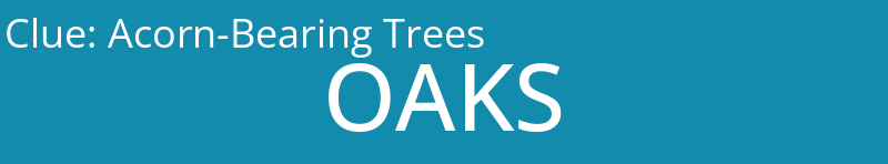 Acorn-Bearing Trees