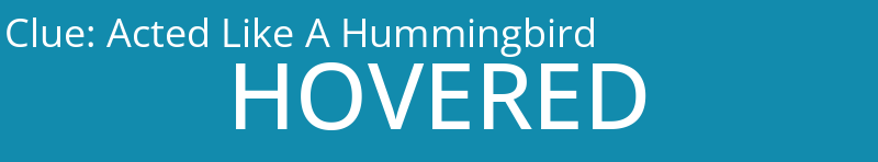 Acted Like A Hummingbird