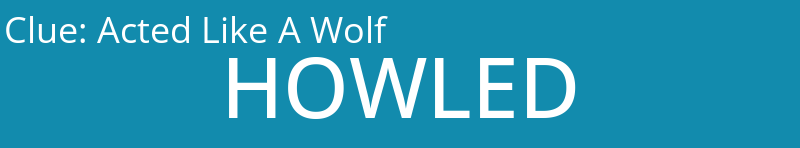 Acted Like A Wolf