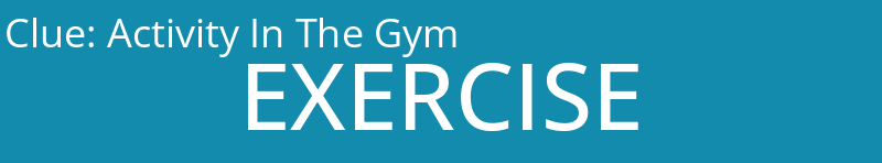 Activity In The Gym