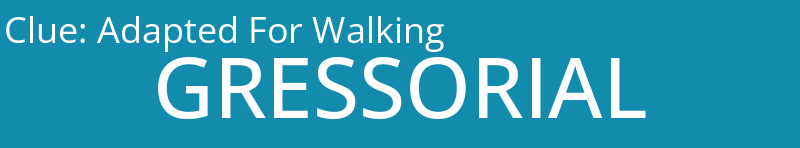 Adapted For Walking