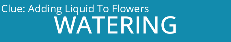 Adding Liquid To Flowers