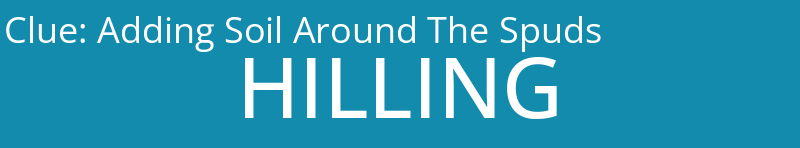 Adding Soil Around The Spuds