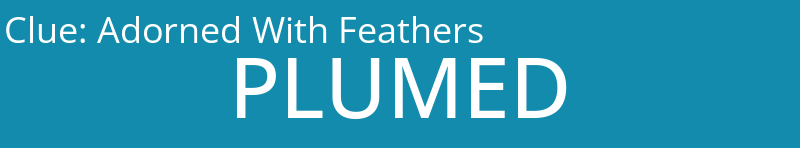 Adorned With Feathers