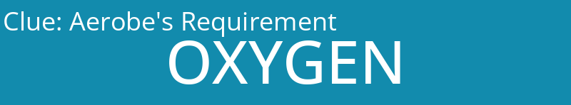 Aerobe's Requirement