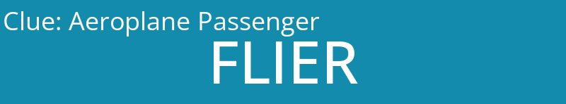 Aeroplane Passenger