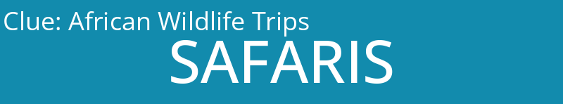 African Wildlife Trips