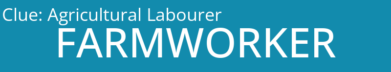 Agricultural Labourer