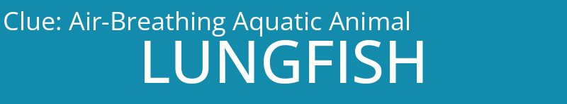 Air-Breathing Aquatic Animal