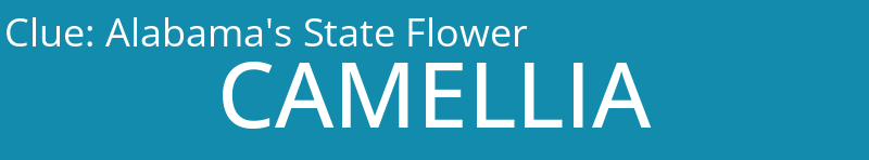 Alabama's State Flower