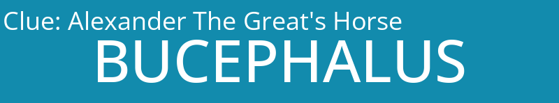 Alexander The Great's Horse