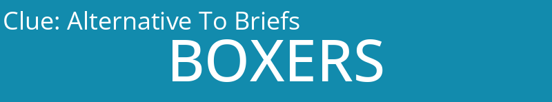 Alternative To Briefs