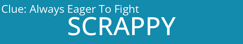Always Eager To Fight