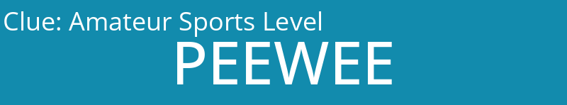 Amateur Sports Level