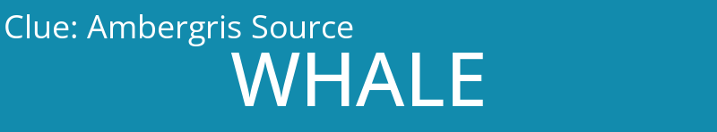 Ambergris Source
