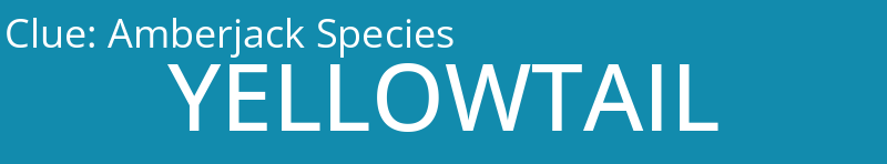 Amberjack Species