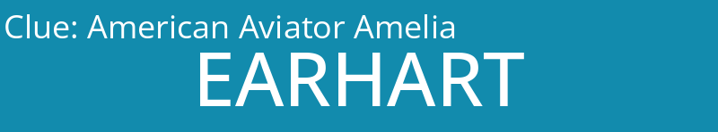 American Aviator Amelia