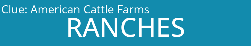 American Cattle Farms